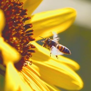 Meet your Posher, Katharzyz